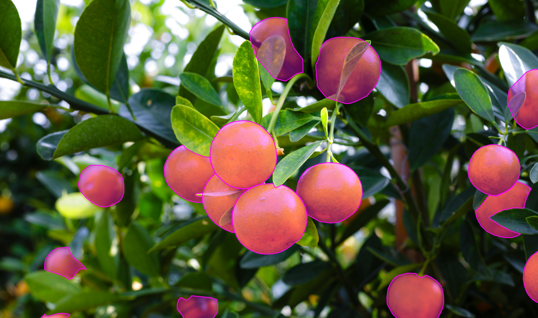 Agriculture Annotation